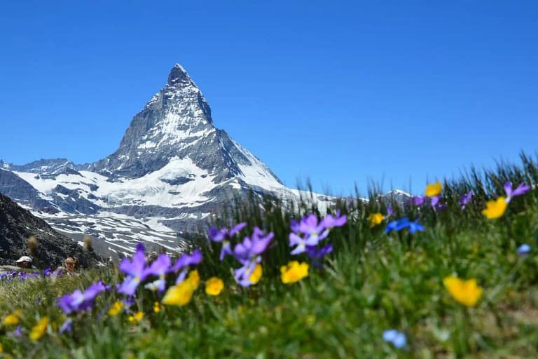Bewerben in der Schweiz